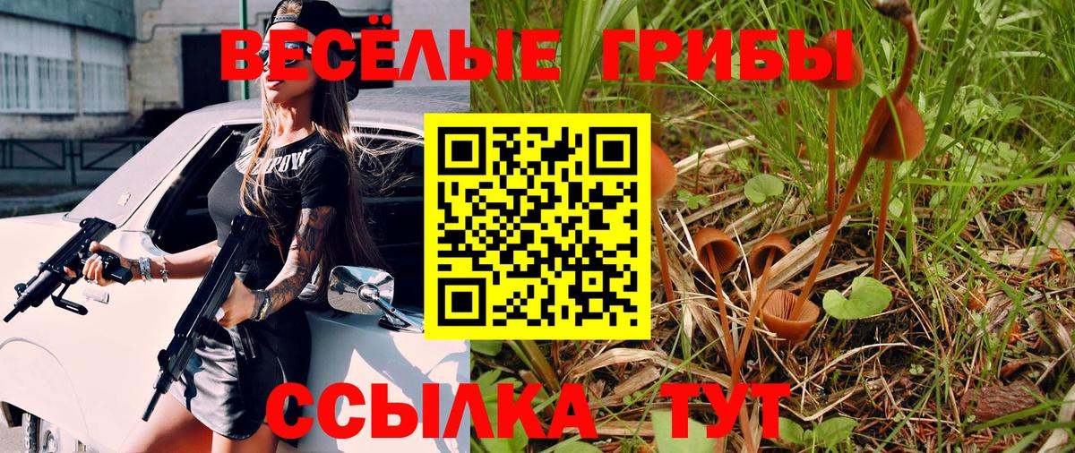 Галлюциногенные грибы мухоморы Егорьевск
