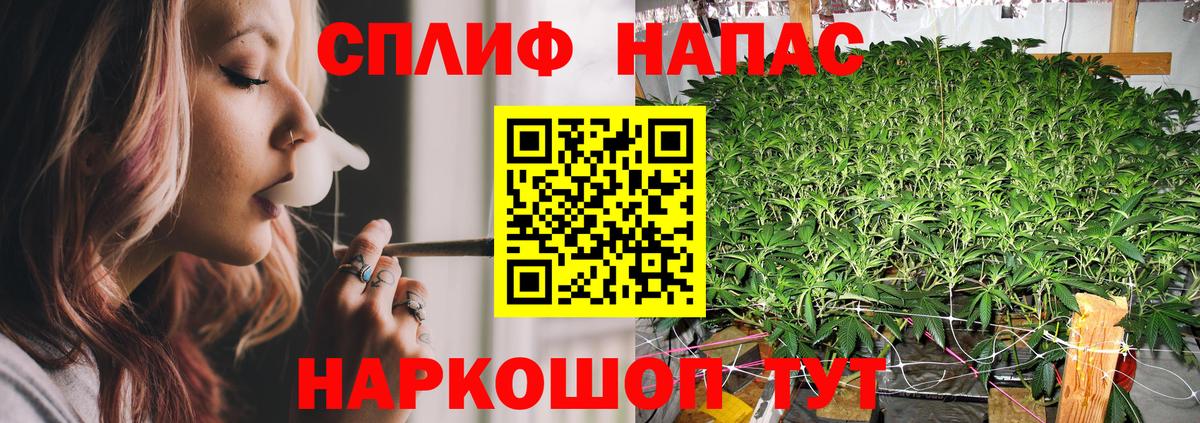 Канабис план Егорьевск