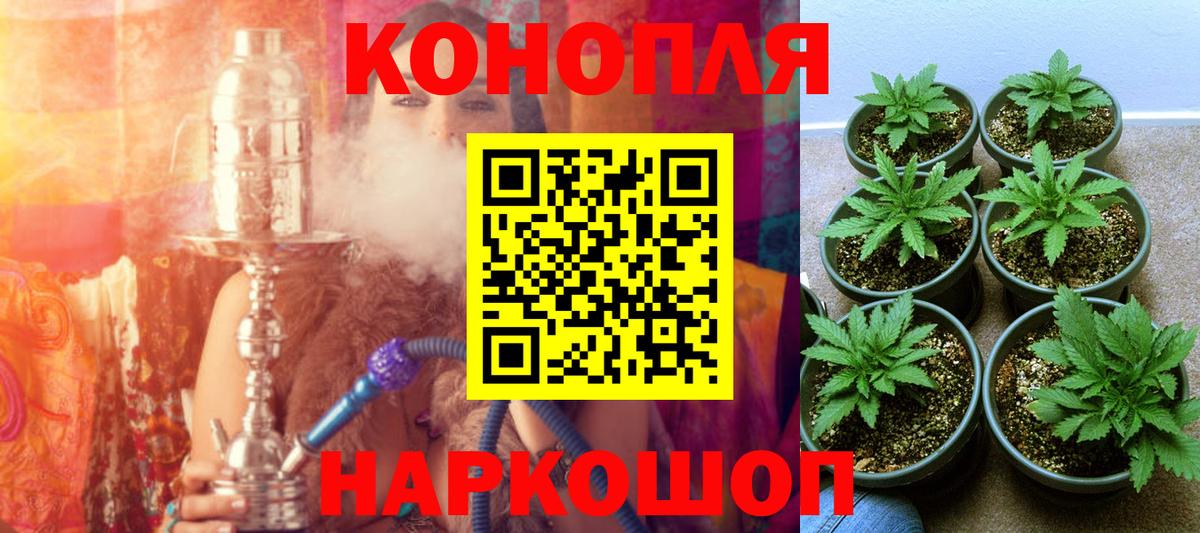 Шишки марихуана семена  МАРИХУАНА AK-47  Вход с VPN  Конопля OG Kush  Каннабис Bruce Banner  Егорьевск 